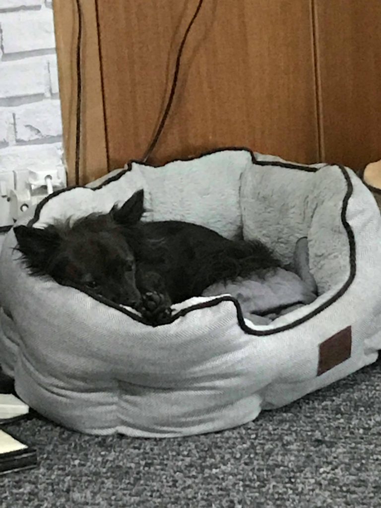 Steve in his bed sleeping off a hard session of training. Well deserved.