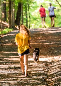 a lady in shorts and a t-shirt walking her dog on a long lead through a wooded area