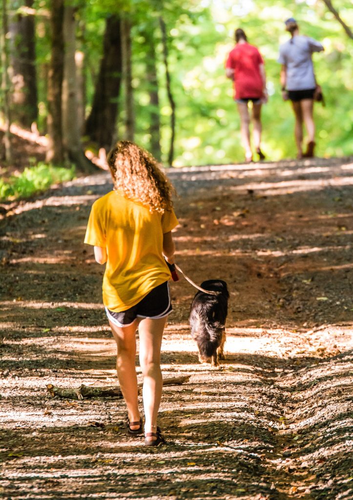 a lady in shorts and a t-shirt walking her dog on a retractable dog lead through a wooded area