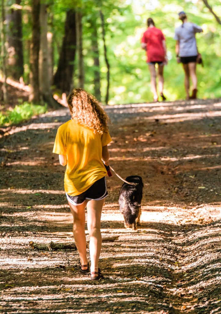 a lady in sports shorts and a yellow t-shirt walking her dog on a retractable dog lead through a wooded area