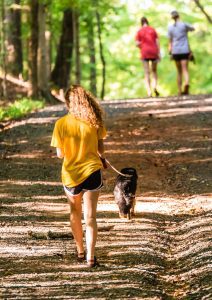 a lady in shorts and a t-shirt walking her dog on a long lead through a wooded area