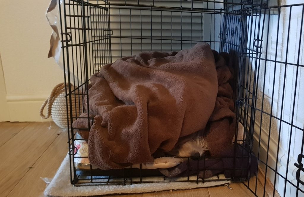 a bundle of brown blankets in a dog cage. the door is open and there is a small brown nose poking out.