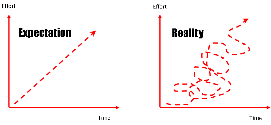 The behaviour training process rarely goes in a straight line! Graph one shows the expectation of effort vs time having a steady increase in progress. The second graph shows the reality which is closer to a wiggly line.