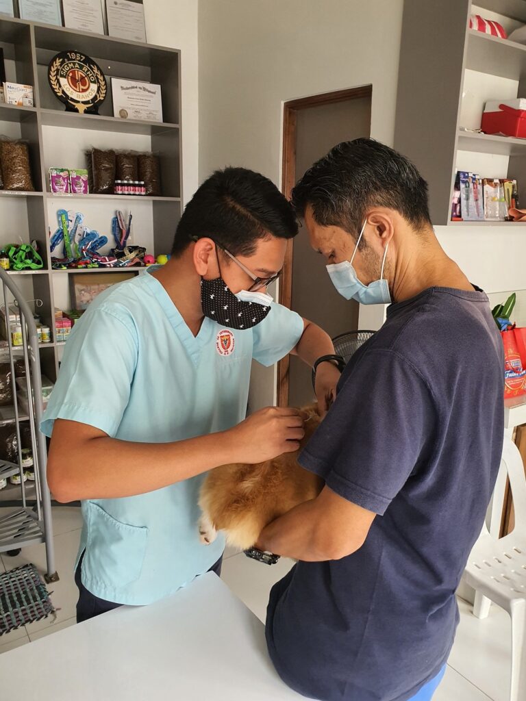picture of two adult males both wearing face masks. One dressed in vets uniform is checking a dog while the other is holding the dog still. The picture is taken in  a vets office