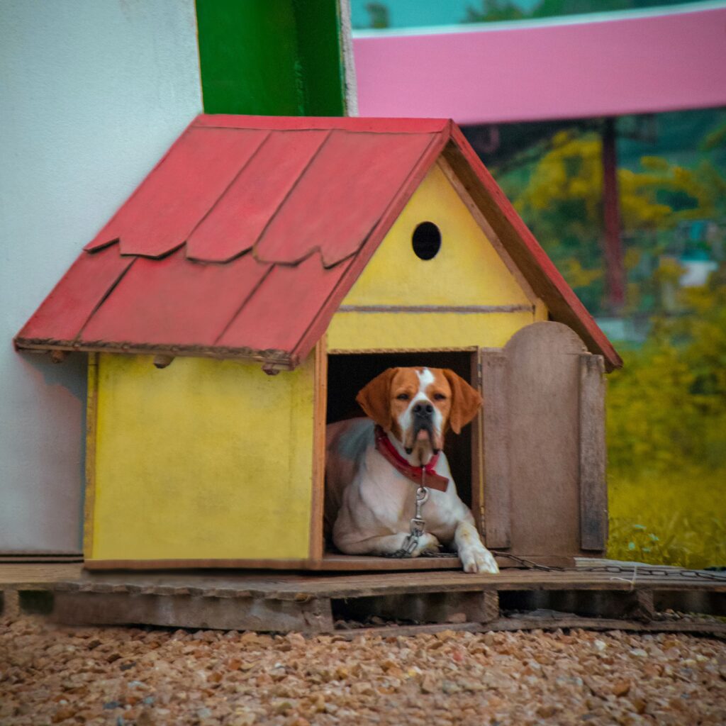 A beagle type dog is laying in the entrance of a large wooden kennel. The kennel is painted yellow and has a red roof.