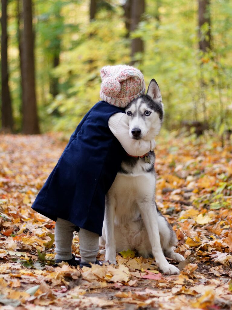 a husky type dog looking very uncomfortable at being hugged by a small child in a woolly, bobble hat.
