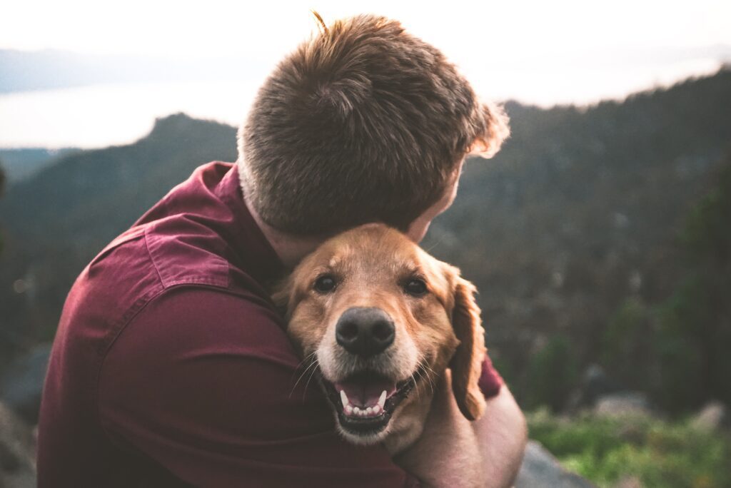 a man hugs his smiling golden retriever