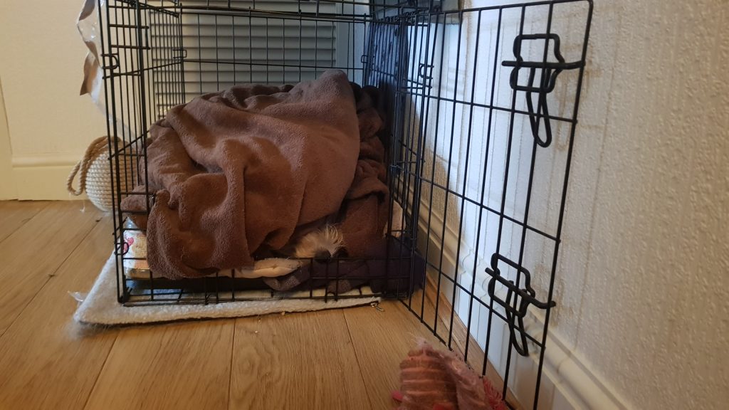 picture of a dog crate with a brown blanket bundled inside. the nose of a small terrier is poking out the blanket in the bottom right corner