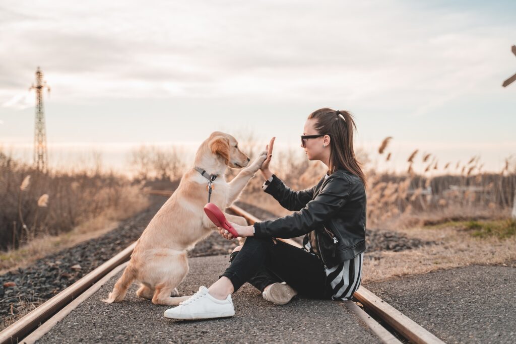 a lady sits and high fives a labrador dog on a set of railway lines