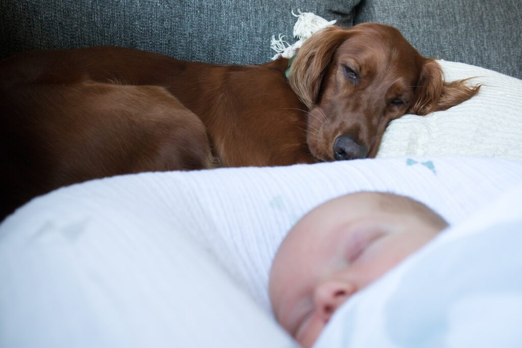 a baby sleeping soundly with a brown dog laying in the background keeping an eye on